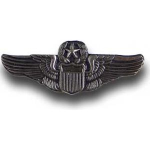 PILOT Military Veteran US Air Force Hat Pin 15835 HO 